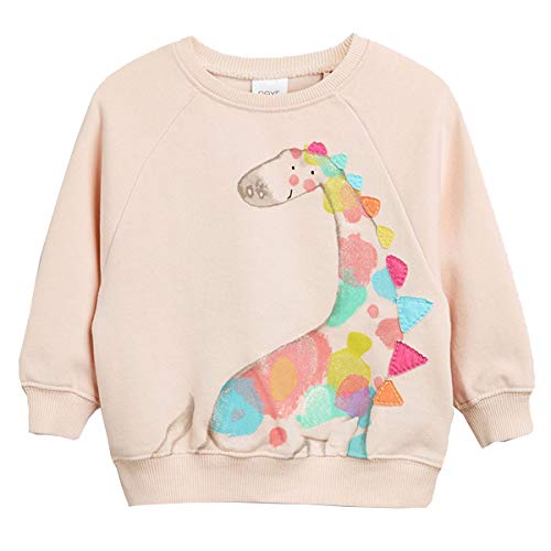 CM-Kid Pullover Mädchen Langarm Shirt Kinder Sweatshirt Baumwolle Frühling Herbst Winter Warm 3 4 Jahre Giraffe Rosa Gr.104